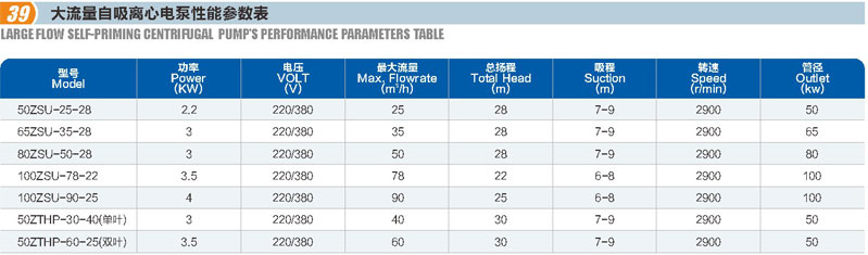 大流量自吸离心电泵(图1)